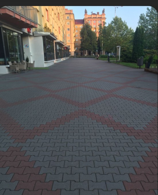 Tree-lined paved walkway on an institutional campus